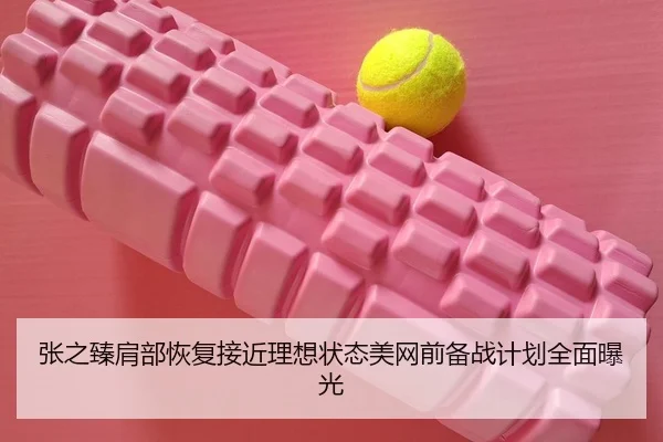 张之臻肩部恢复接近理想状态美网前备战计划全面曝光